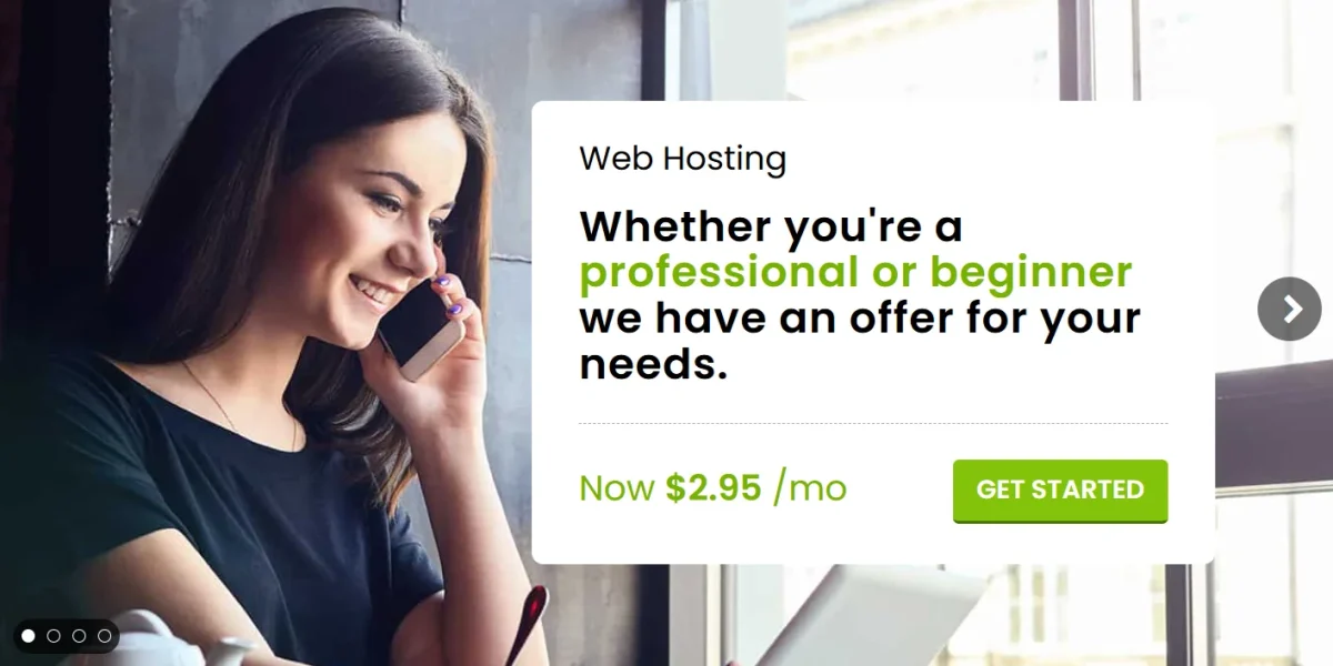 Budget Web Hosting for Beginners: Affordable hosting solutions for new website owners and small businesses.